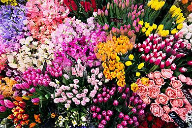 《定制机甲大战》第二部预告 介绍各种搞怪零件