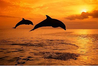 《暴雨》steam限时5折特惠，火速入手！